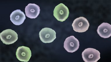 kötü virüs hücre