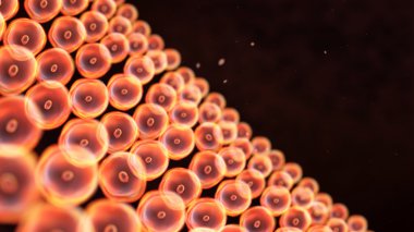 yakın duvar için hücreleri düzenleyin