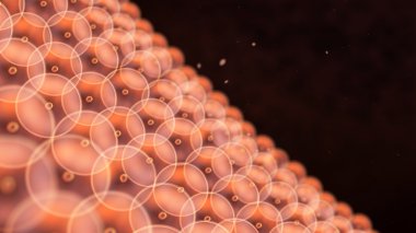 yakın duvar için daire hücreleri düzenleyin