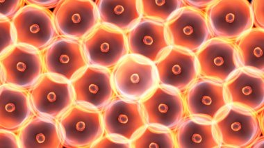 hücreler büyük boy Merkezi glow