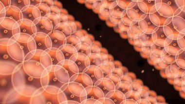 Tünel için daire hücreleri düzenleyin