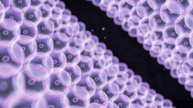 Mor hücreleri daire tünel düzenlemek