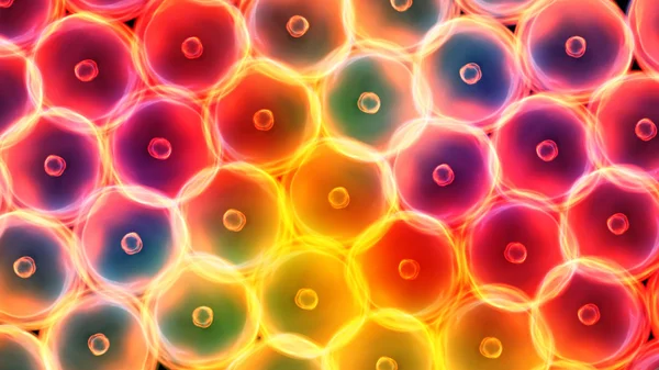 Cellules de couleur grande taille — Photo