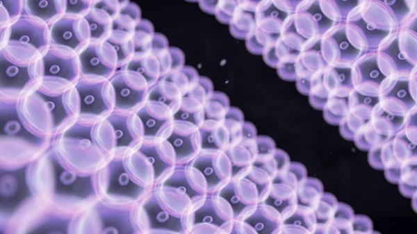 Mor hücreleri daire tünel düzenlemek