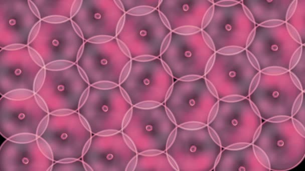 Círculo de células organizar a morte por vírus HD rosa — Vídeo de Stock