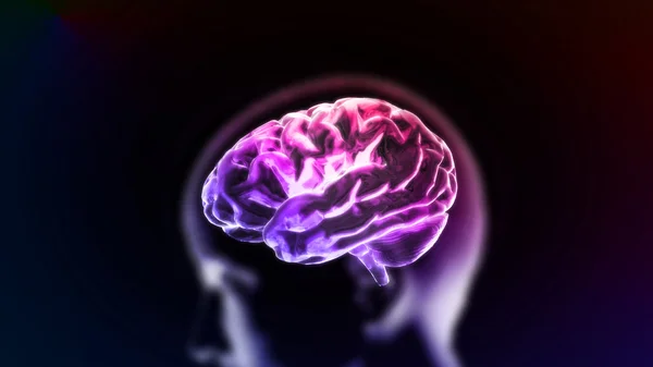 Cérebro roxo colorido na cabeça — Fotografia de Stock