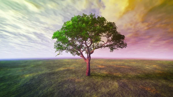 Nubes puestas de sol y árbol — Foto de Stock