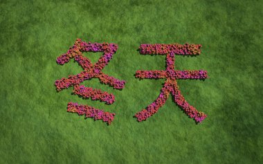 winter chinese text flower with grass background