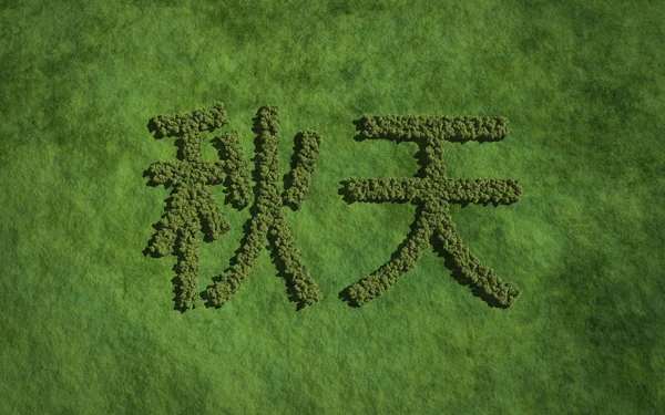 Autumn chinese text tree with grass background — Stock fotografie