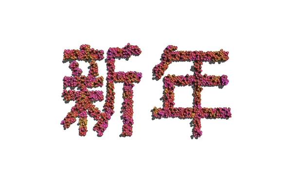 Nouvel an chinois texte fleur avec fond blanc — Photo