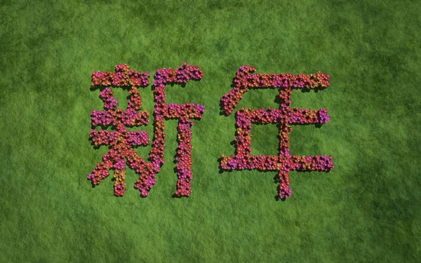 New year chinese text flower with grass background — Stock fotografie