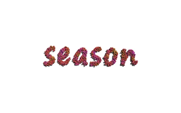 Season text flower with white background — Stock Fotó