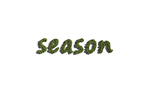 Árbol de texto de temporada con fondo blanco —  Fotos de Stock