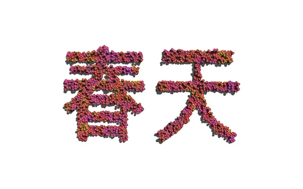 Printemps chinois texte fleur avec fond blanc — Photo