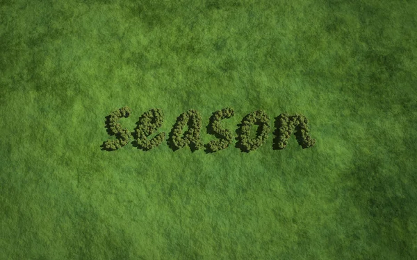 Season text tree with grass background — Stock fotografie