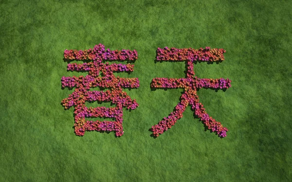Spring chinese text flower with grass background — Stock fotografie