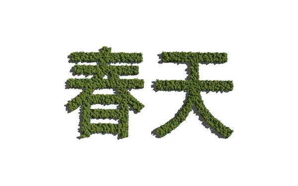 Spring chinese text tree with white background — ストック写真