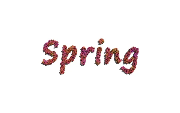 Frühling Text Blume mit weißem Hintergrund — Stockfoto