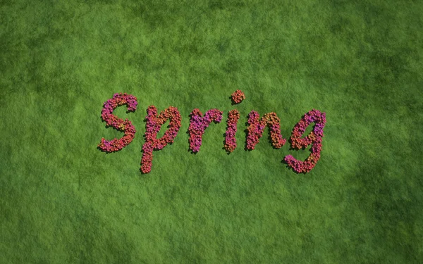 Primavera flor de texto com fundo de grama — Fotografia de Stock