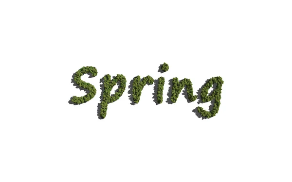 Árvore de texto primavera com fundo branco — Fotografia de Stock