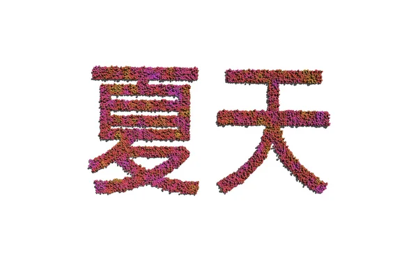 Summer chinese text flower with white background — 图库照片