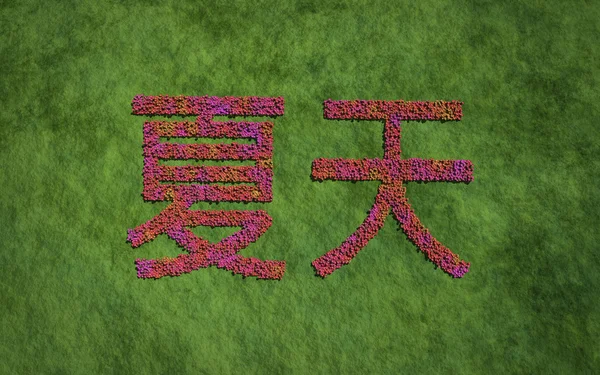 Summer chinese text flower with grass background — Stock Photo, Image