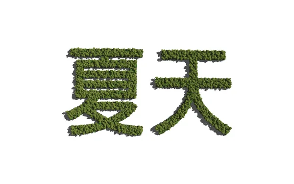 Summer chinese text tree with white background — ストック写真