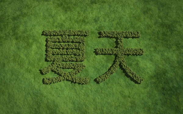 Summer chinese text tree with grass background — Stock fotografie