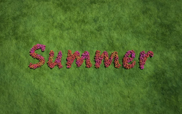 Summer text flower with grass background — Stock fotografie