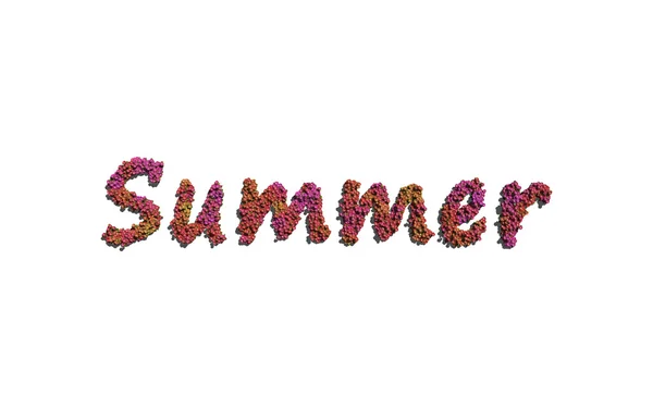 Summer text flower with white background — Stock Photo, Image