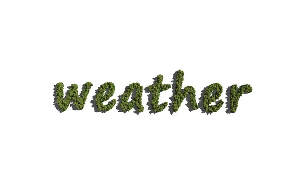 Weather text tree with white background — 스톡 사진