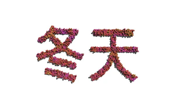 Winter chinese text flower with white background — ストック写真