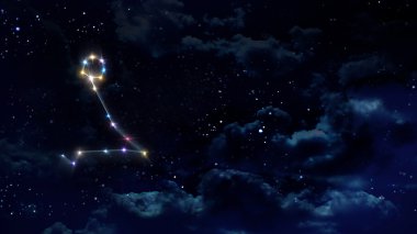 12 Balık burcu gece