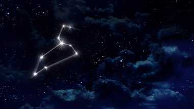 5 Leo Horoskop gece beyaz