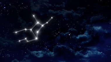 6 Başak Astroloji gece beyaz