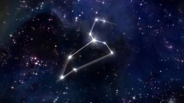 5 Leo Horoskop star beyaz