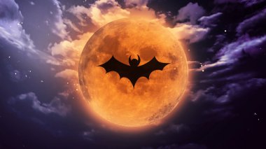 yarasa gölge ay uzayda