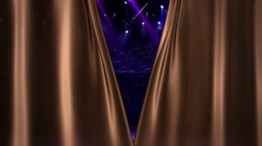 Brown perdenin açılışında konser kamera flaş ışığı