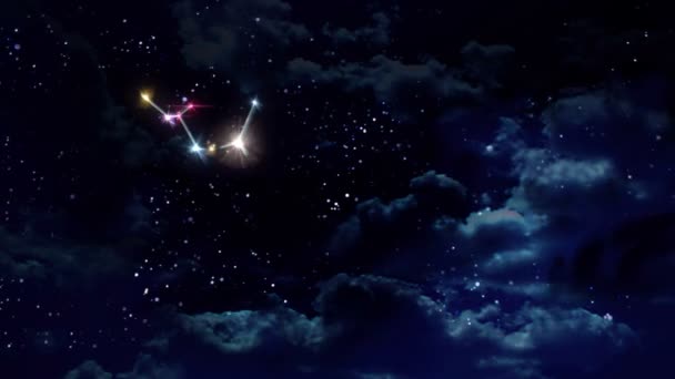09 Nyilas horoszkóp állatöv jel éjszaka — Stock videók