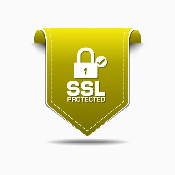 Diseño de iconos protegidos SSL — Vector de stock