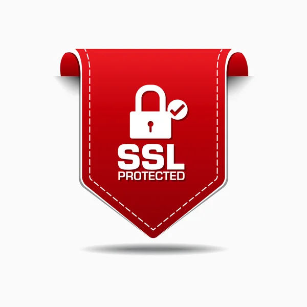 SSL geschütztes Icon Design — Stockvektor