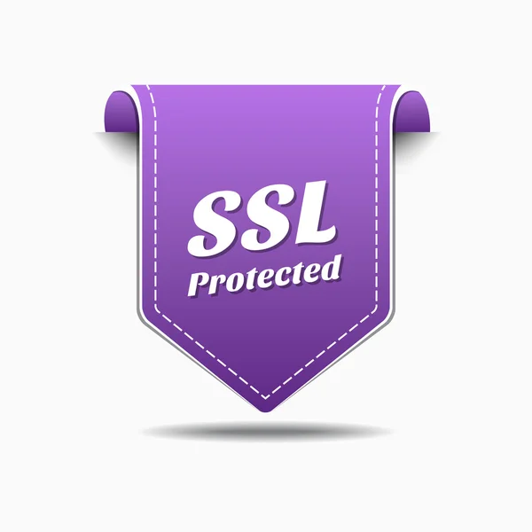 Diseño de iconos protegidos SSL — Archivo Imágenes Vectoriales