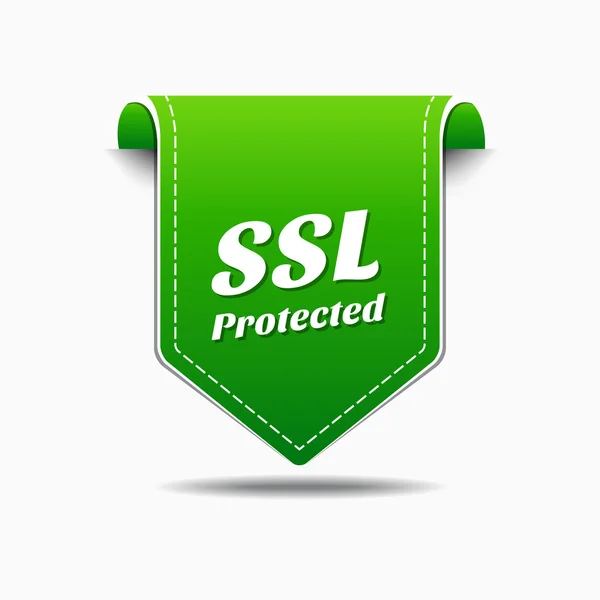 Diseño de iconos protegidos SSL — Vector de stock