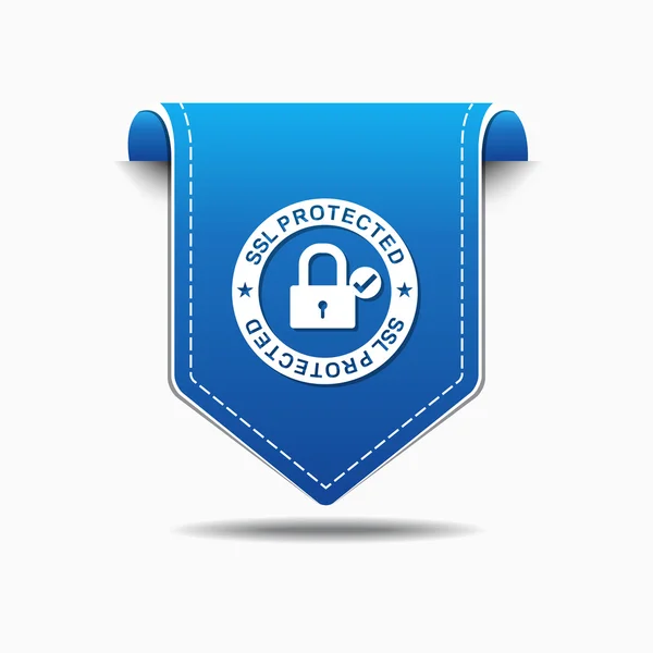 Diseño de iconos protegidos SSL — Vector de stock