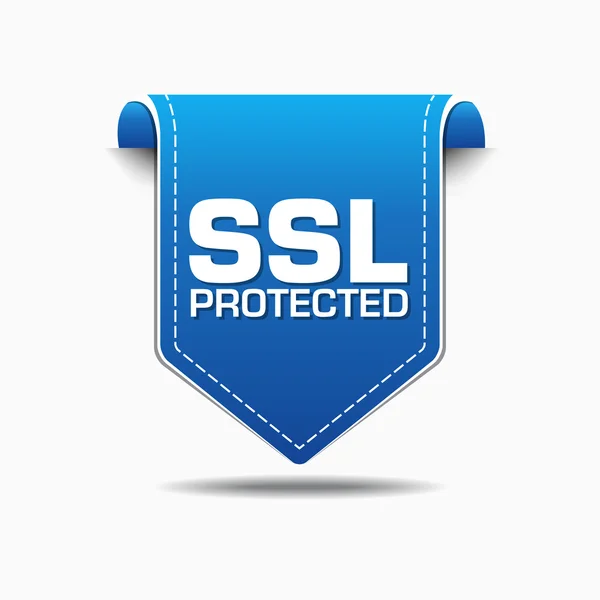 SSL Protected Icon Design — Stock Vector