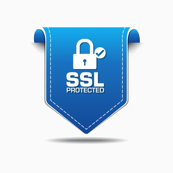 SSL Protected Icon Design — Stock Vector