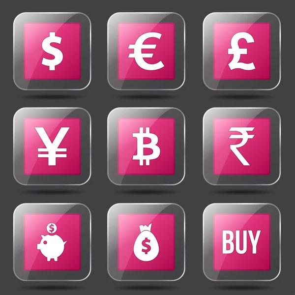 Currency Sign Icon Set — Stock Vector