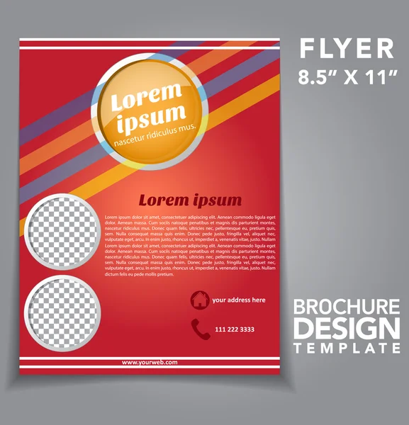 Flyer Brochure Vector Design — 图库矢量图片