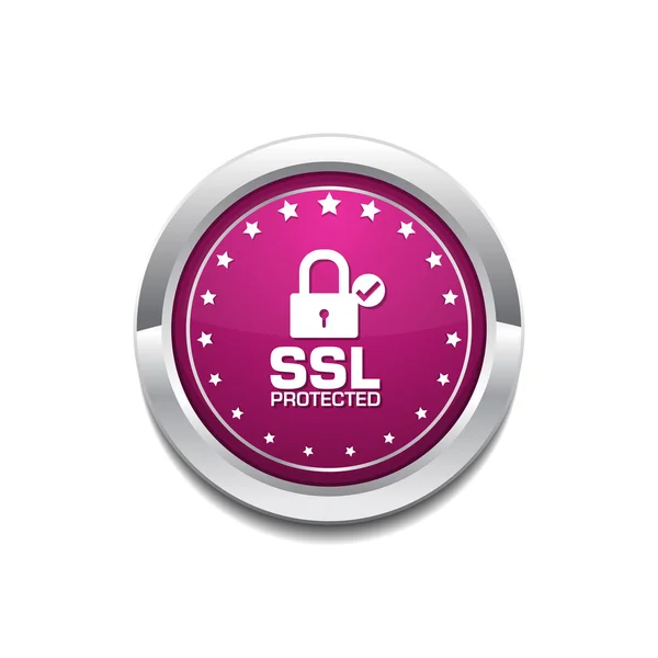 Diseño de iconos protegidos SSL — Vector de stock