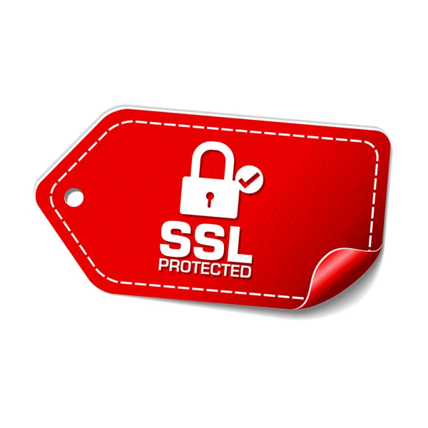 SSL Védett ikon tervezés Stock Vektor